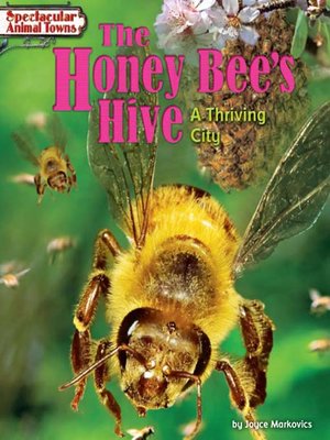 cover image of The Honey Bee's Hive